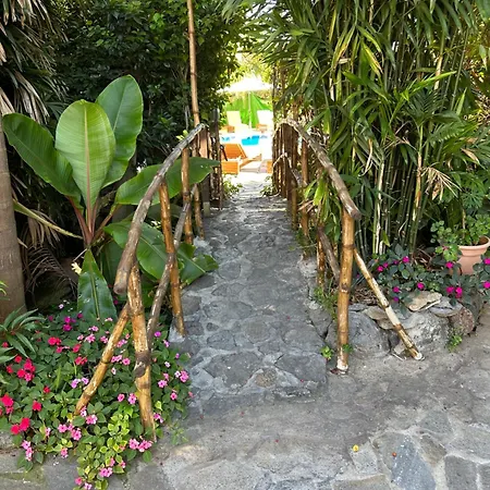 Prázdninový dům 1