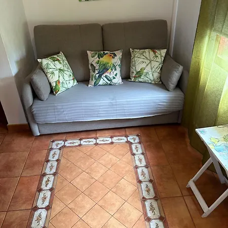 1 Tatil Evi *