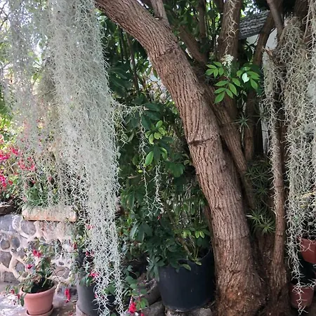 1 Prázdninový dům Tijarafe