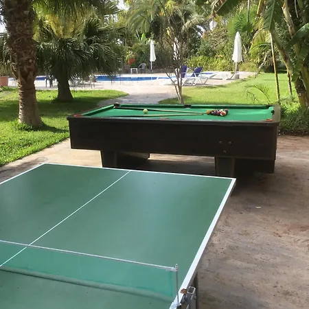 1 Holiday home