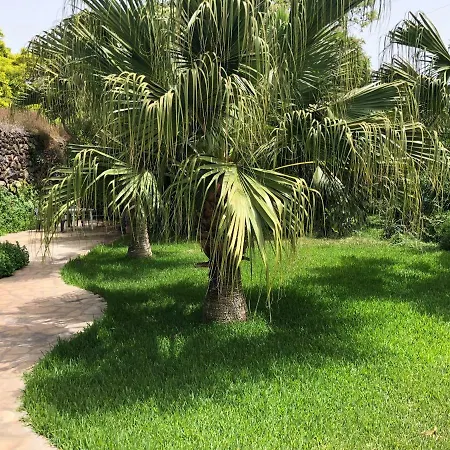 1 Holiday home
